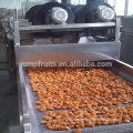 Industrial Citrus Peeler Machine Citrus Processing Line